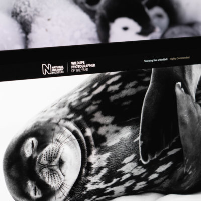 Read the Natural History Museum case study