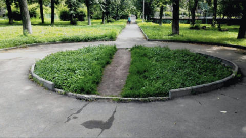 A green area with a pathway tramped across it.