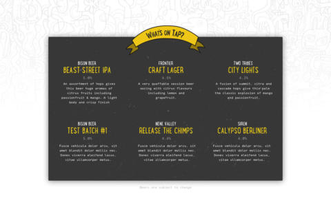 Branding for Bison Beer.