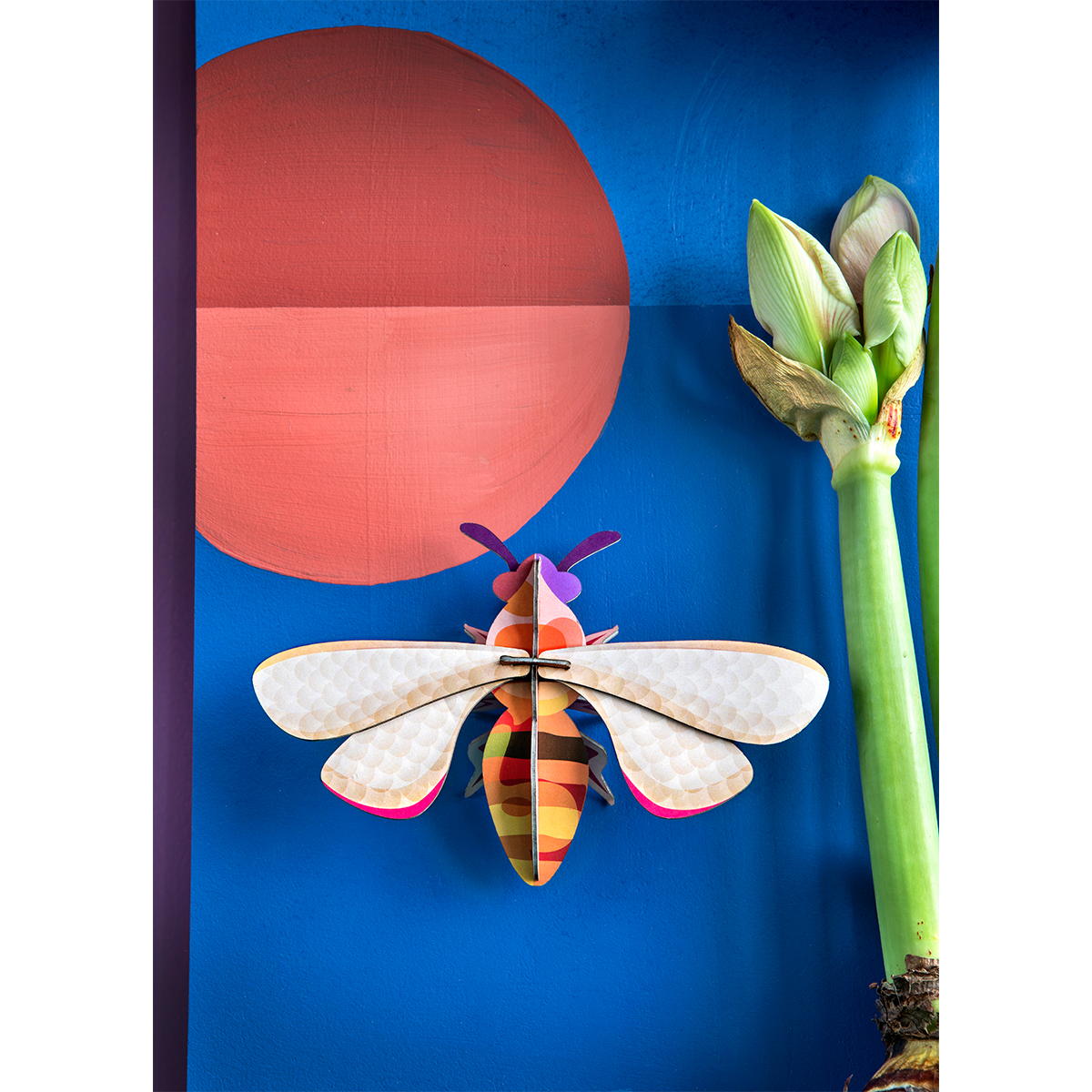 Honey bee by Studio Roof