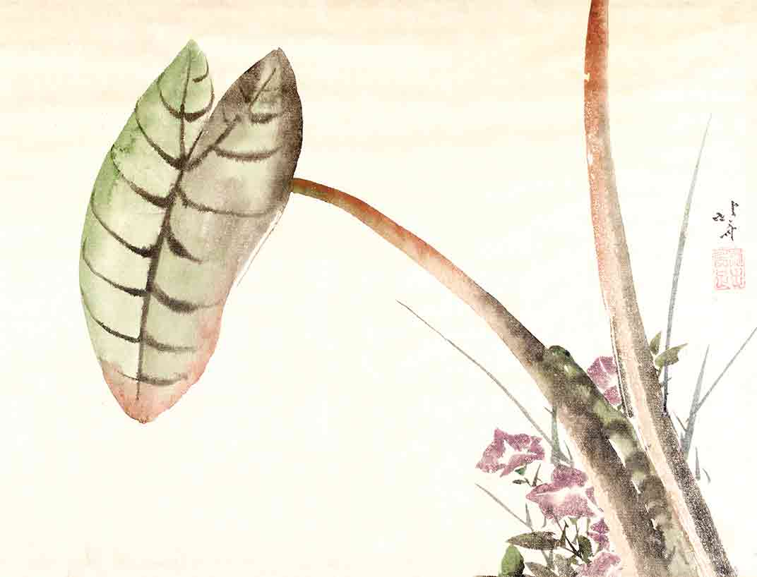 Taro potato leaf and bellflowers (custom print) Taro potato leaf and bellflowers (custom print)