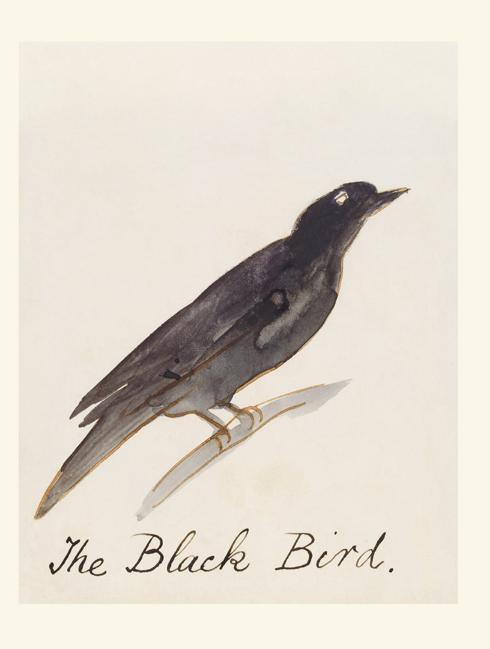 Regular paper Black Bird