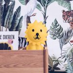 lion-first-light1