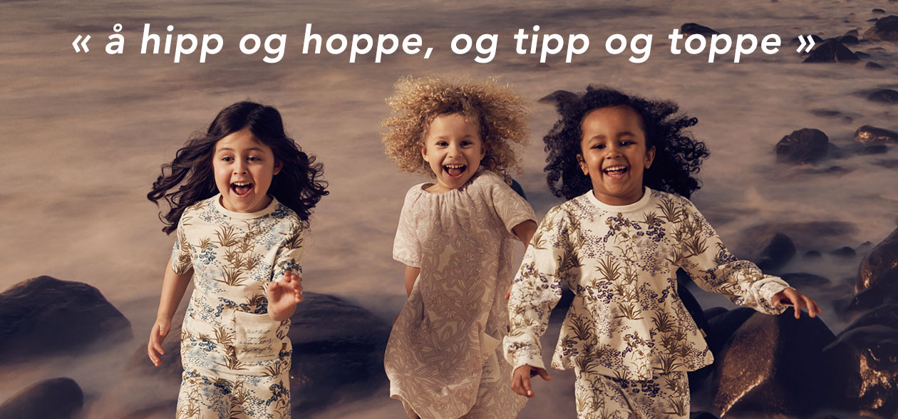 Tilbehör