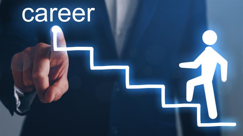 Career Choices for Newly Qualified Accountants in the UK