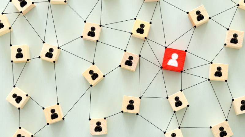 Remote assessment of technology talent