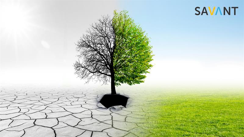 Salesforce’s climate commitments at COP27!