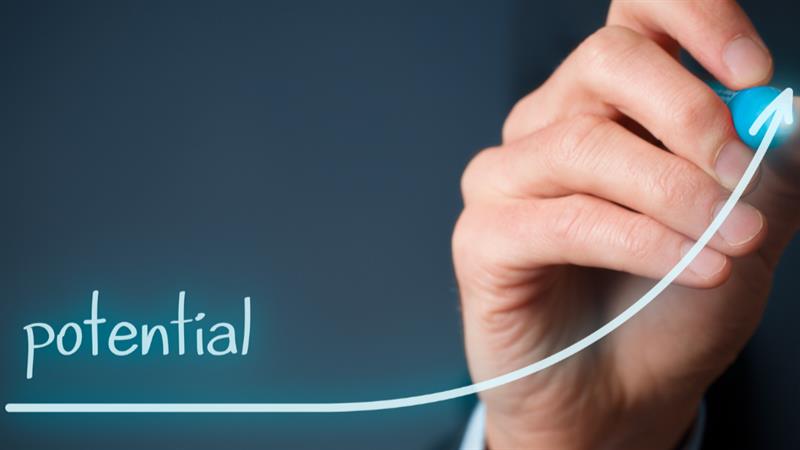Unlocking Potential Through Strategic Partnership: The Savant Technology and Possibility Partnership Model