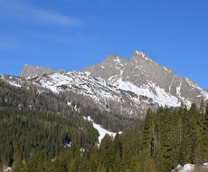 DSC_4738.JPG
