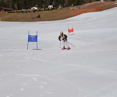 DSC_5330.JPG