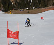 DSC_4951.JPG