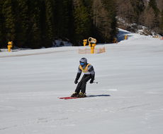 DSC_4954.JPG