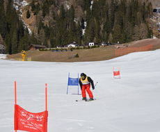 DSC_4921.JPG