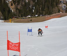 DSC_4879.JPG
