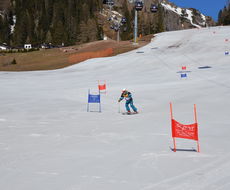DSC_4845.JPG