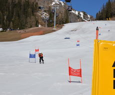 DSC_4810.JPG