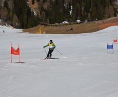 DSC_4800.JPG