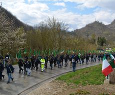 DSC_9477-min.JPG