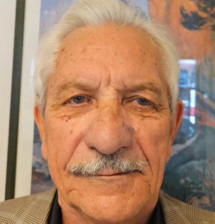 Merlo efren