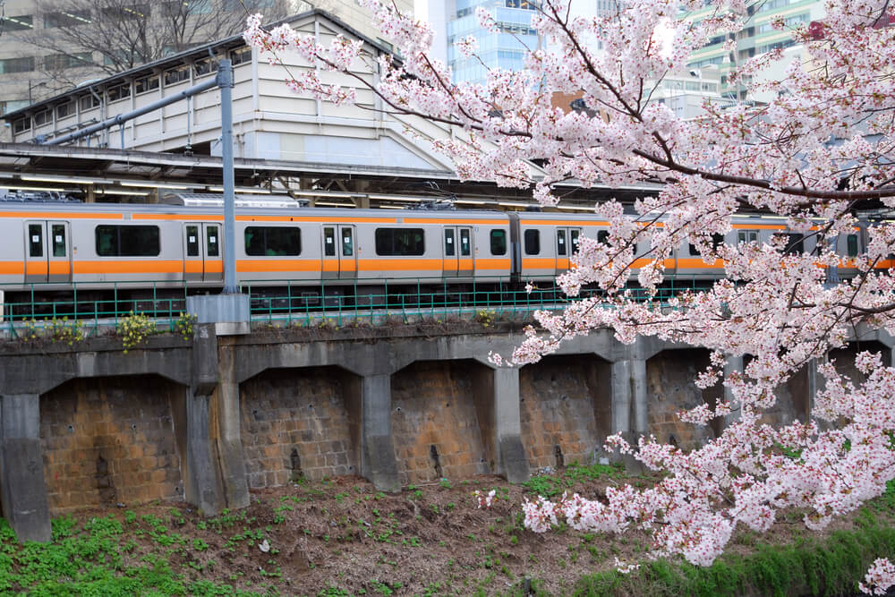 Japan Rail Train in Tokyo