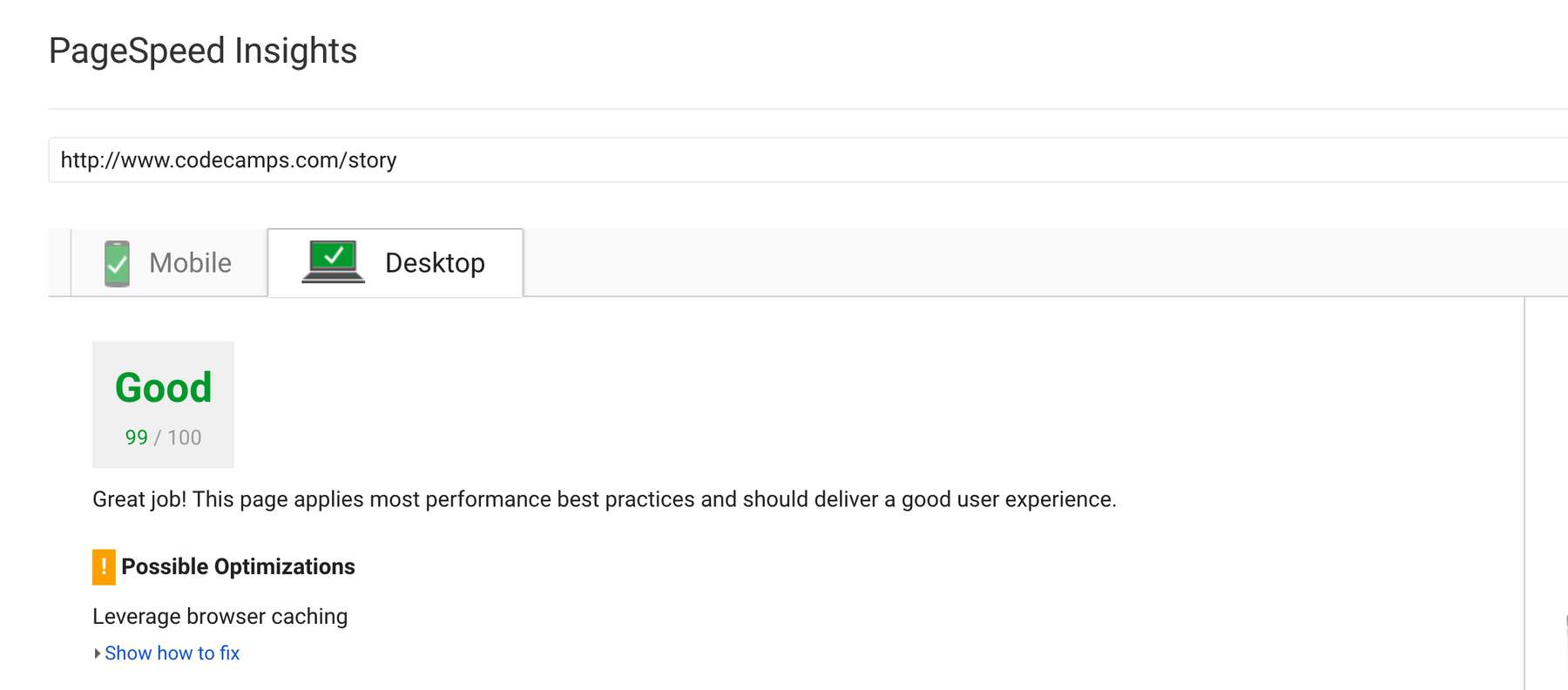 99/100 in PageSpeed Insights