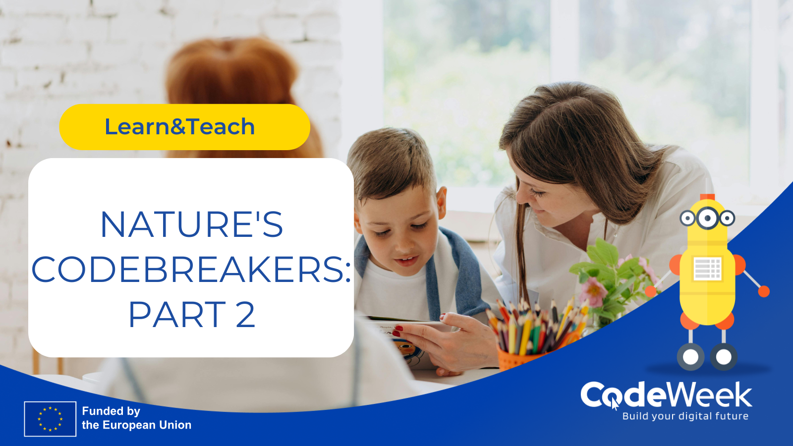 Nature's Codebreakers: an unplugged family adventure – part 2