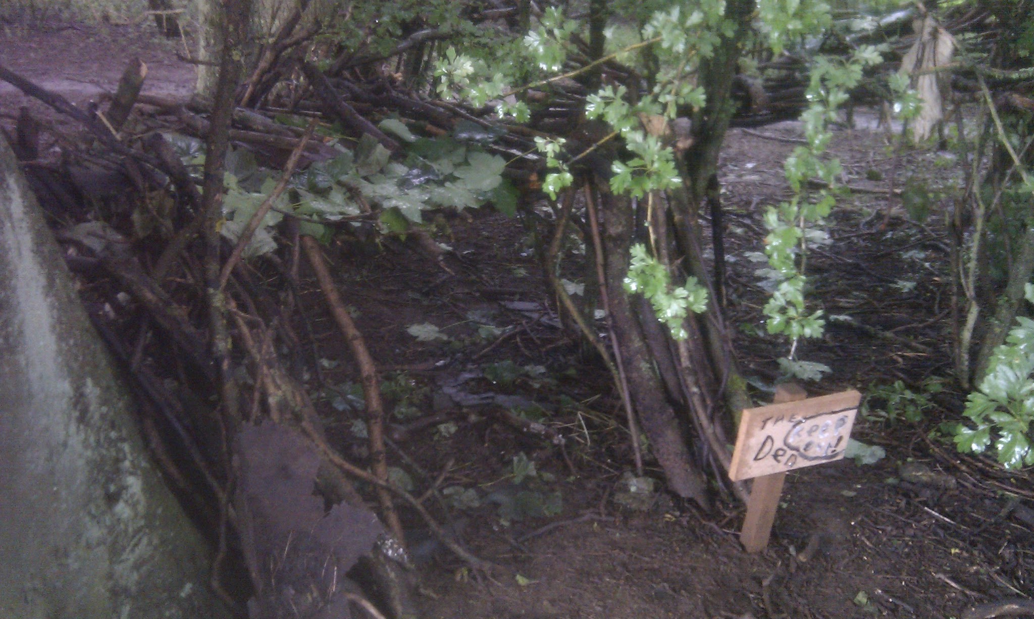 A den built by adventurers