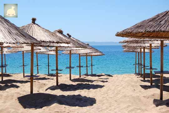 playa