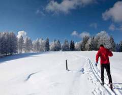 nieve