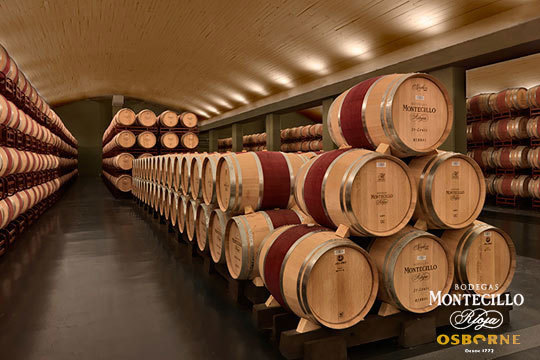 Visita guiada + cata degustación + picoteo + botella de crianza