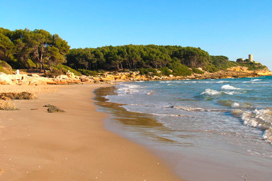 Camping Torre De La Mora 