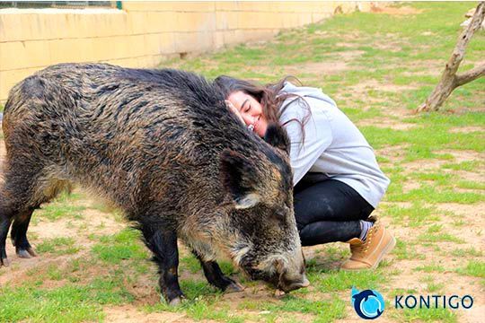 Actividad de interacción con animales salvajes en Madrid