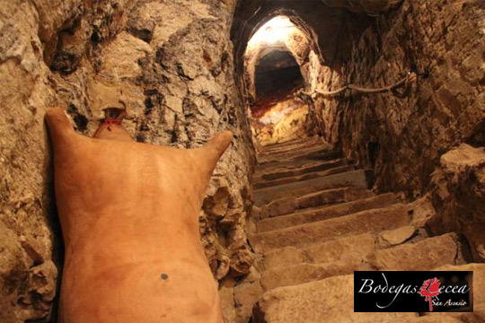 Bodegas Lecea