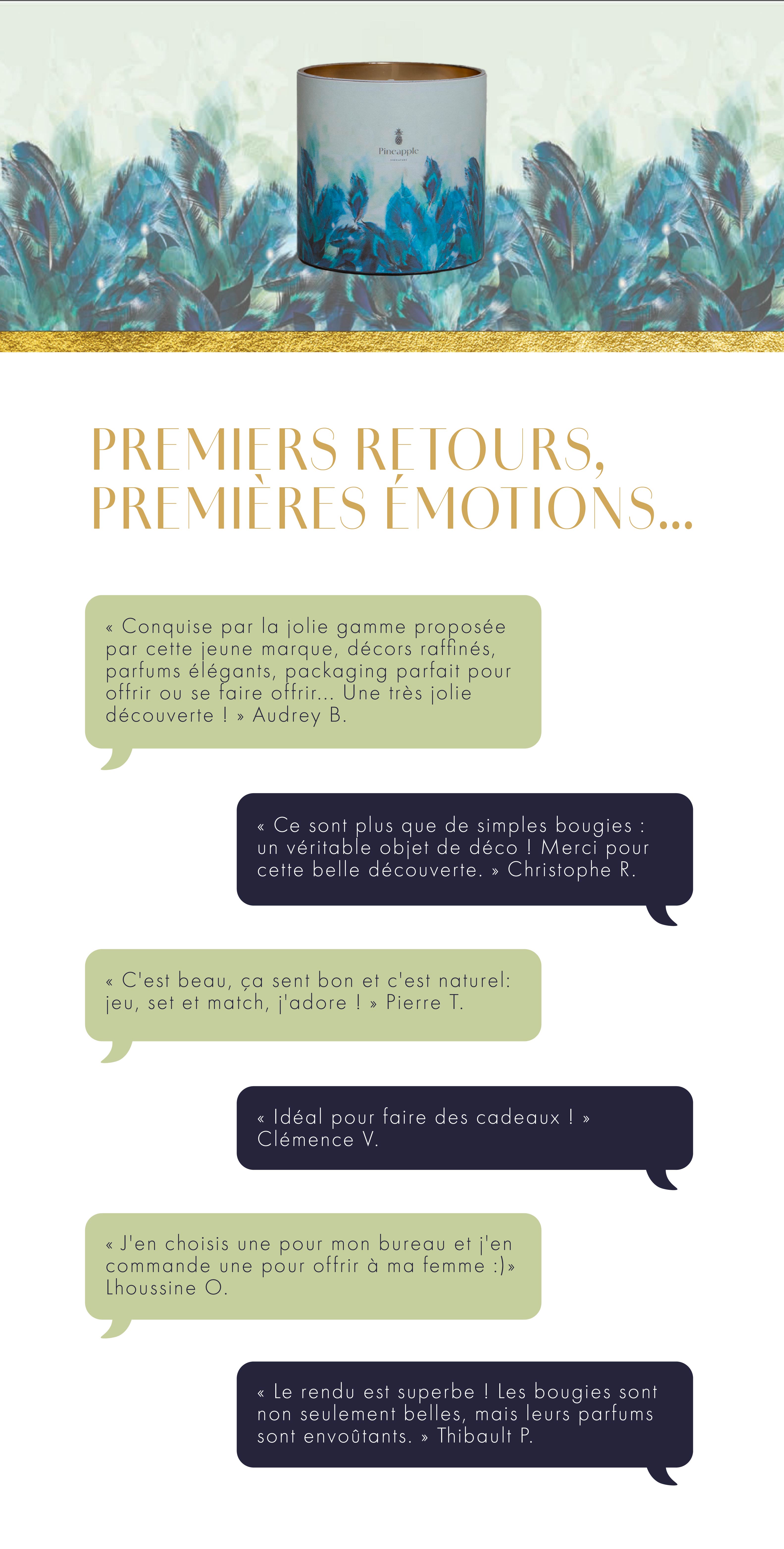 Bougies d'exception Pineapple Signature