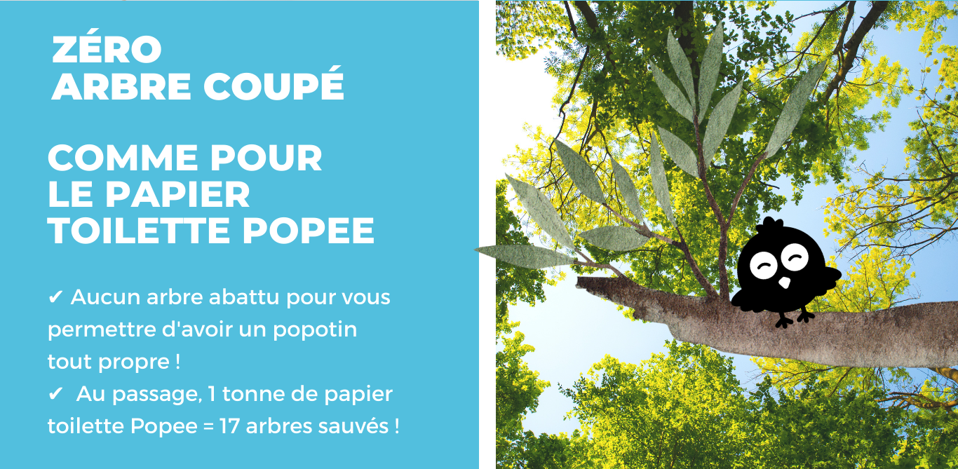 Par Quoi Remplacer Le Gel Pour Doppler