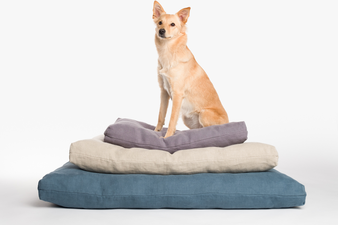 le-matelas-pour-chien-en-v-ritable-laine-de-mouton
