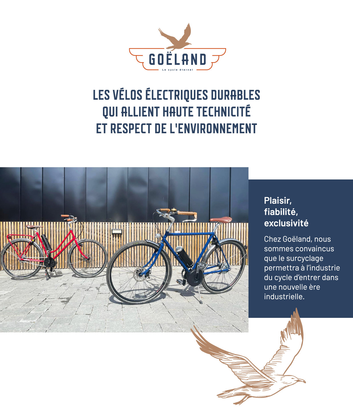 GOEL101 STICKERS DECALS GOELAND MOIRE vélo bike bicycle