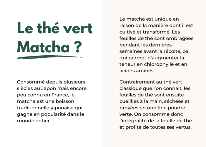 Maison Matcha - Le meilleur du thé matcha ! 561 MERCI 💚
