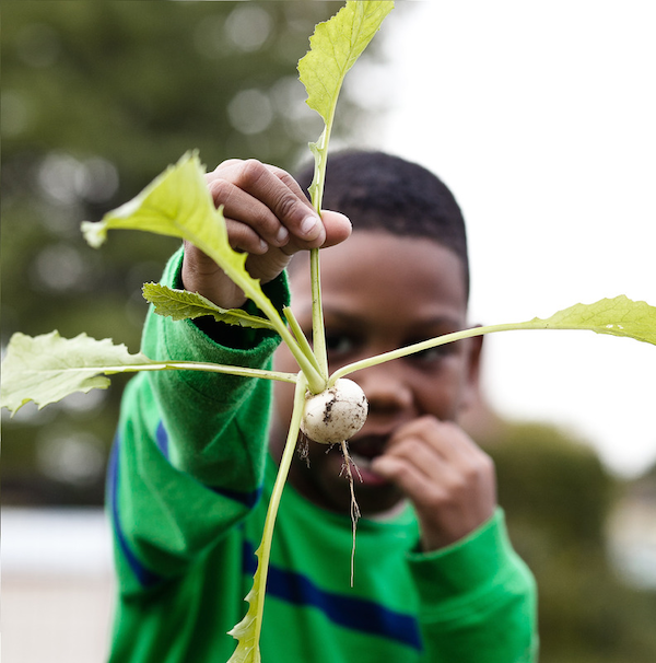 Hope Garden Stenton Family Manor Emergency Housing Shelter