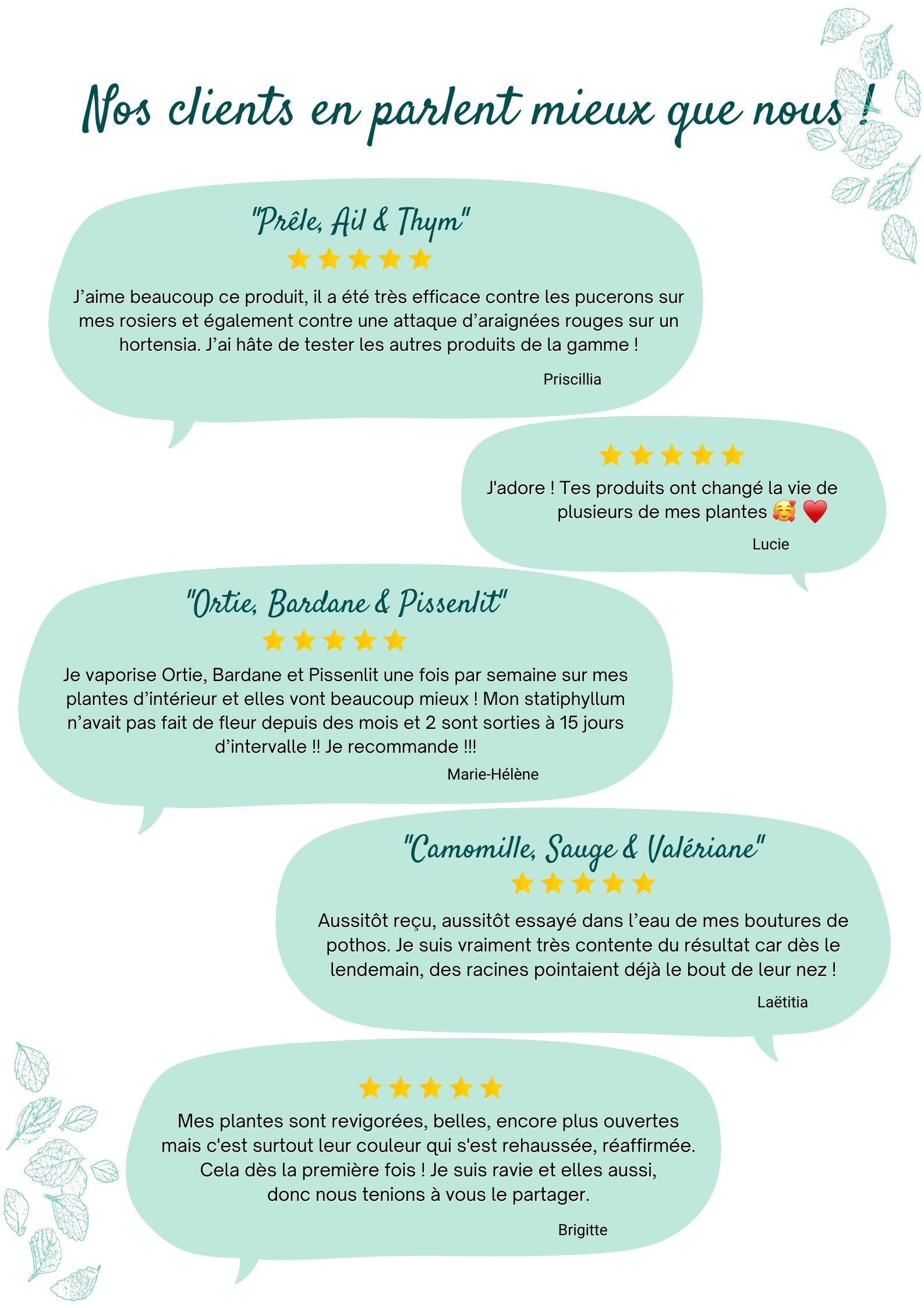 A AKO Des Plantes Pour Prendre Soin De Vos Plantes