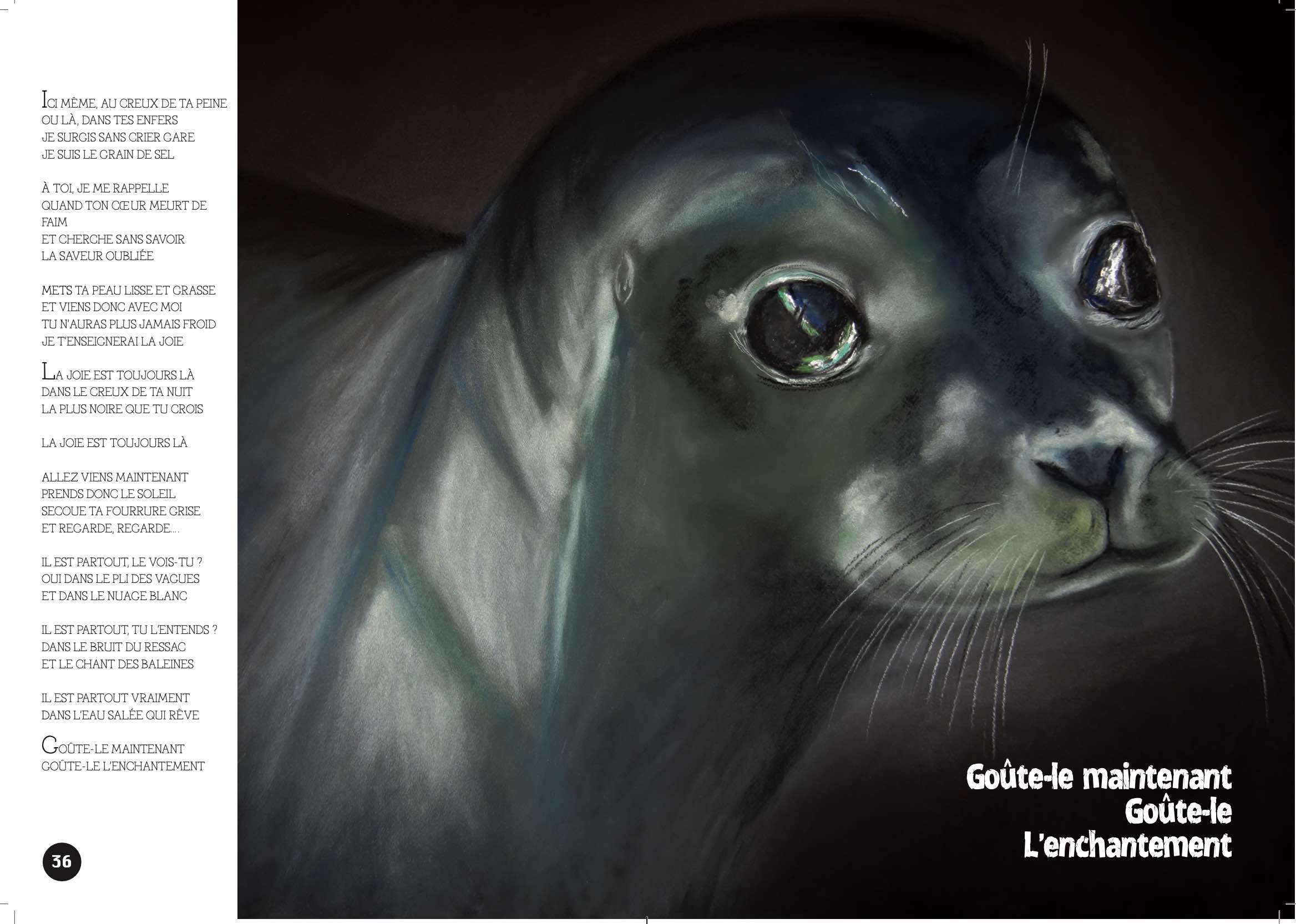 FRISSON ANIMAL LIVRES ILLUSTRÉS LA TRILOGIE - Ulule