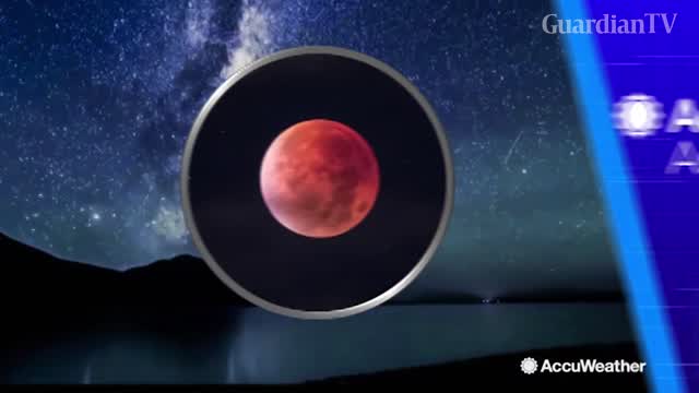 Aliens on Moon: Extraterrestrial Life Might Have Existed on Lunar, Say Researchers