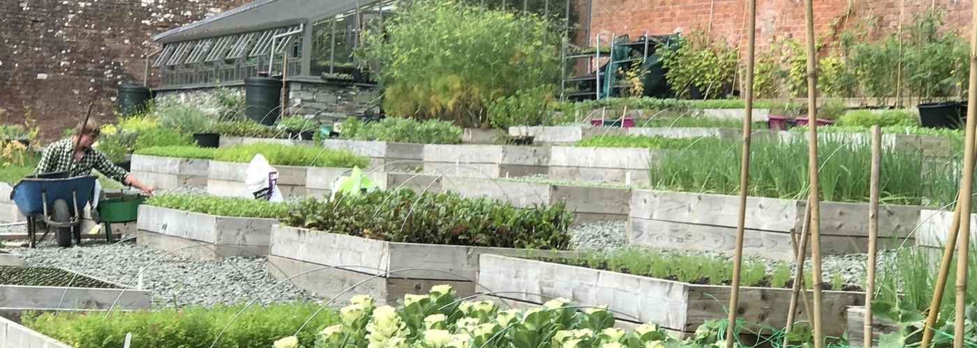 2019 05 31 FORET SIDE GARDEN