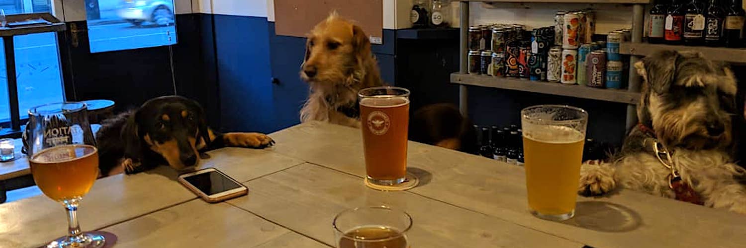 2020 01 08 station hop levenshulme dogs