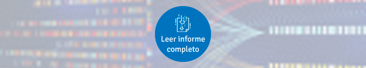 Leer informe completo