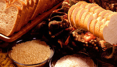 Modelo in vitro para evaluar la digestibilidad de carbohidratos dietéticos