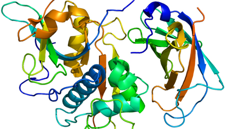 Descubren un posible mecanismo molecular que podría servir para tratar el síndrome de Papillon-Lefèvre