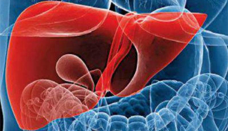 Descubierta una nueva enfermedad hepática causada por una mutación genética