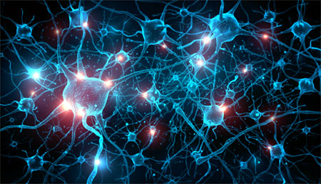 Imágenes 3D para estudiar los cambios en el cerebro