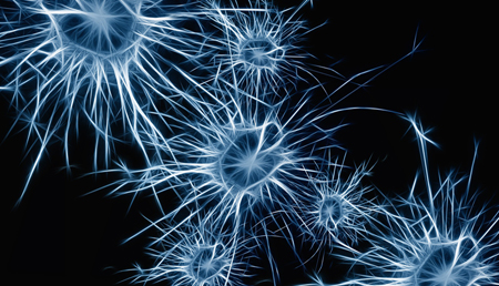 La reprogramación celular podría mejorar la movilidad en ratones con Parkinson